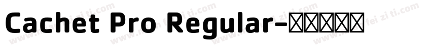 Cachet Pro Regular字体转换